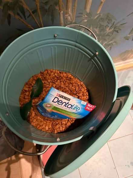Photo of free Cat food and bin (E9) #1