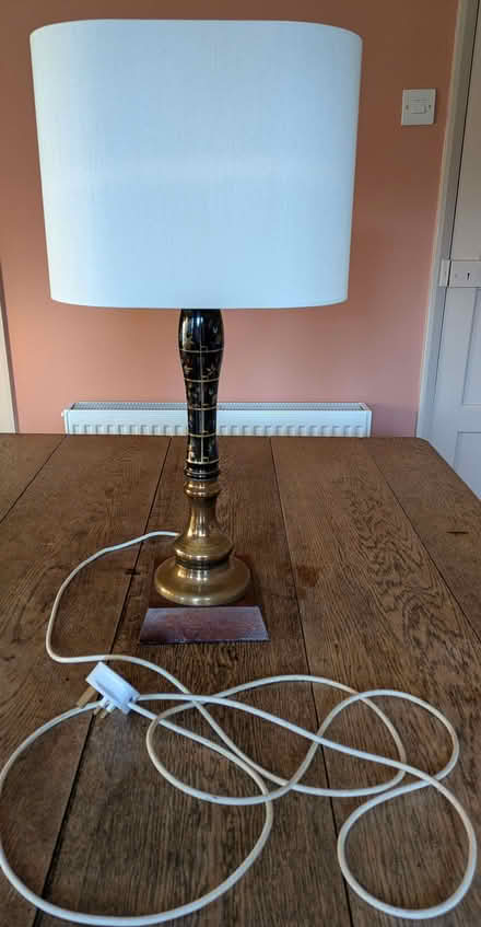 Photo of free Vintage beer pull lamp with shade (bulb fitting needs attent (Finstall B60) #1