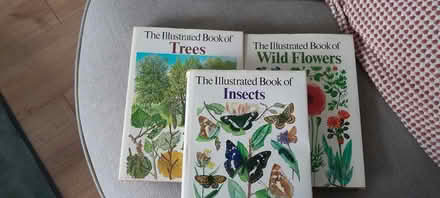 Photo of free books (North Hinksey OX2) #1