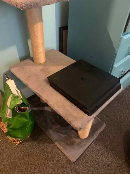 Photo of free Cats ladder (Tonbridge) #4
