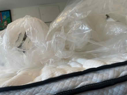 Photo of free Heavyweight clear plastic (downtown Frederick) #2