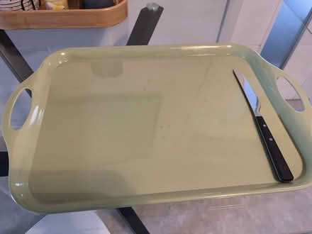 Photo of free Green tray (Littlemore OX4) #1