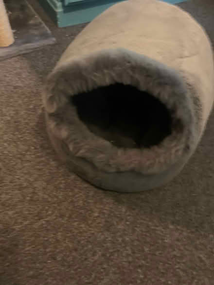 Photo of free Cats bed (Tonbridge) #1