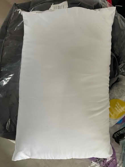 Photo of free Pillow (Littlemore OX4) #1