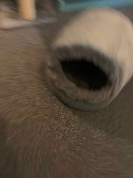 Photo of free Cats bed (Tonbridge) #2