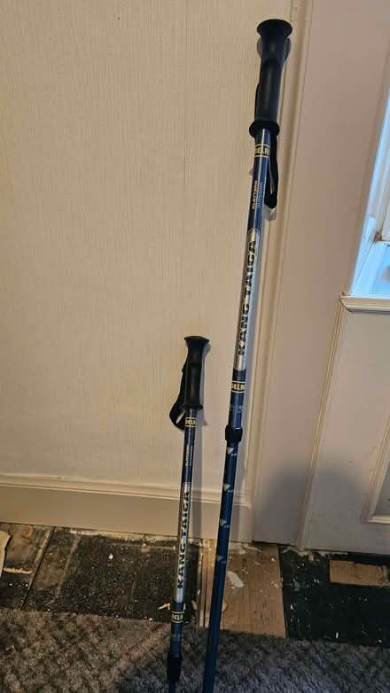 Photo of free Walking Poles (Leslie KY6) #1