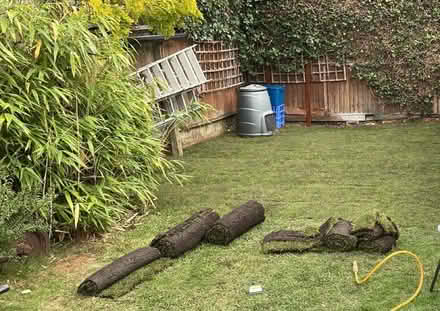 Photo of free 2 rolls of turf (TW3) #1