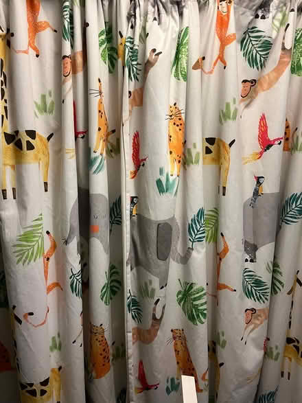 Photo of free Curtains (L19) #2