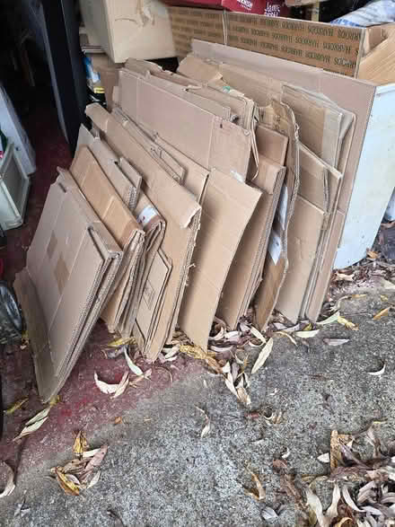 Photo of free Selection of Cardboard Boxes (RH5 North Holmwood, Dorking) #1