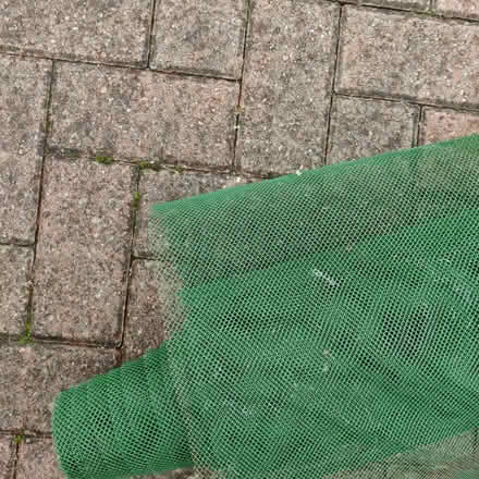 Photo of free Garden netting (Bolton le Sands LA5) #1