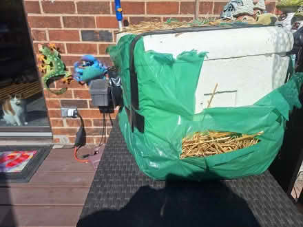 Photo of free Feral cat shelter (Villa park) #2