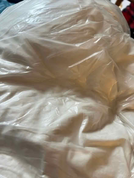 Photo of free Double feather Duvet & cover (SW11) #1