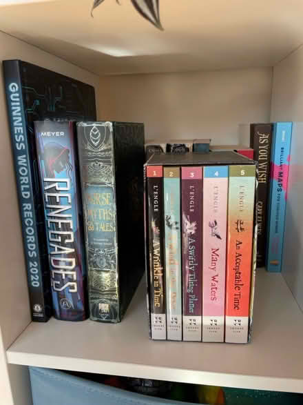 Photo of free Assorted used YA books (West Roxbury (Boston)) #4