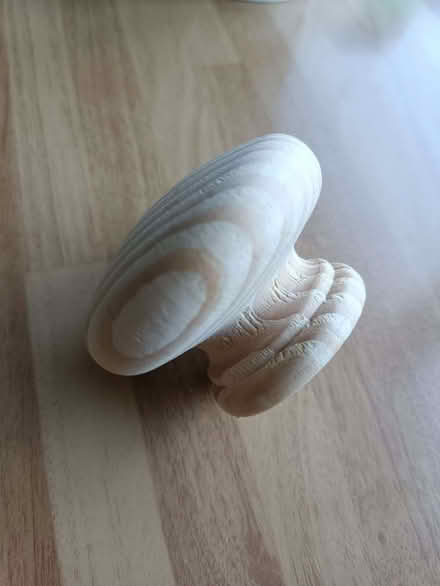 Photo of free 15 Pine Knobs 6cm Diameter (Haldens AL7) #1