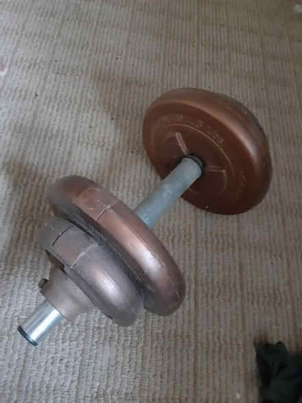 Photo of free 10lb weight (Metuchen nj) #1