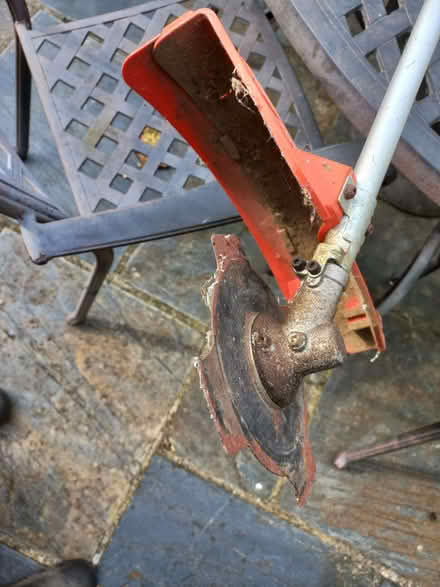 Photo of free Strimmer (Walberton BN18) #2