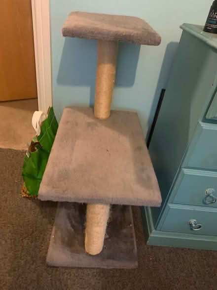 Photo of free Cats ladder (Tonbridge) #1