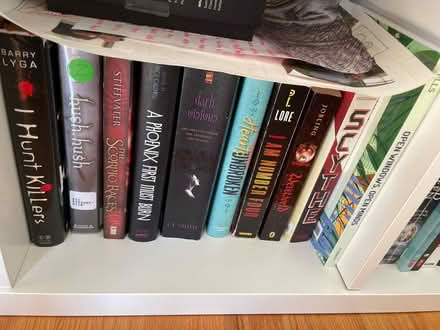 Photo of free Assorted used YA books (West Roxbury (Boston)) #3