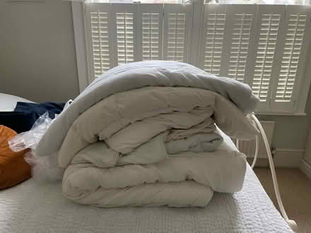 Photo of free 6 x single duvet inners (West dulwich) #1