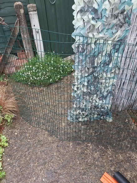 Photo of free wire mesh Green (Horsell) #1