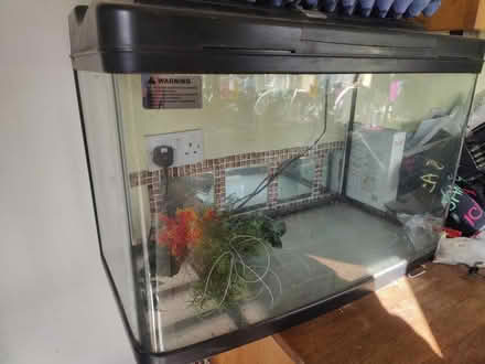 Photo of free Fish pod fish tank (Faringdon SN7) #1