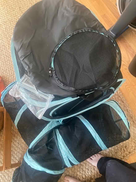 Photo of free Cat play can go outside Ijamsville (Ijamsville 21754) #3