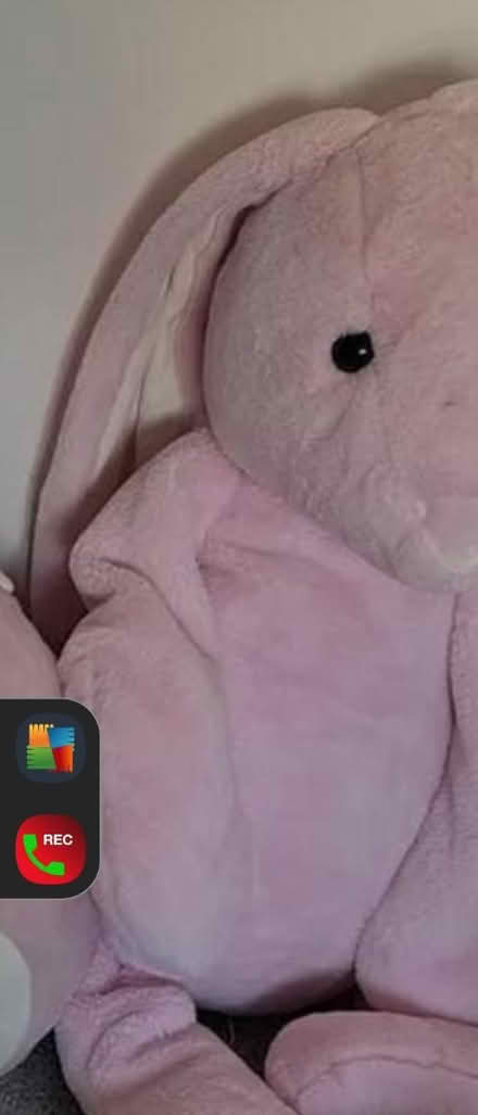 Photo of free Large rabbit plush toy good clean (RG30) #1