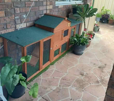 Photo of free Rabbit / Guinea pig cage (Empire Bay) #1