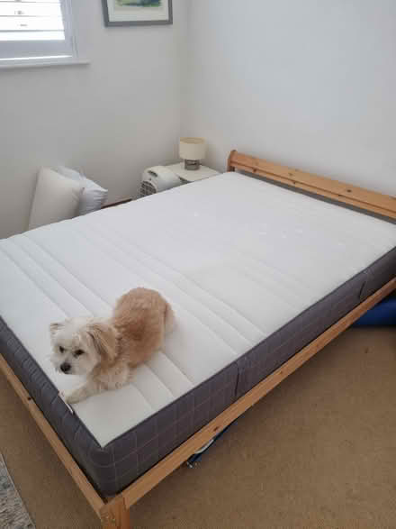 Photo of free Ikea Hovag double mattress (East Molesey KT8) #2