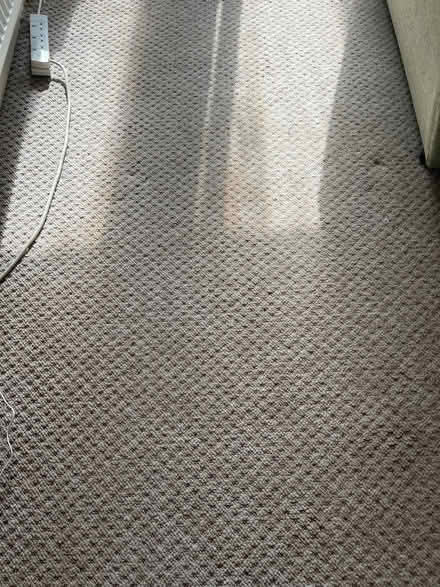 Photo of free Beige carpet and underlay (Langney BN23) #2