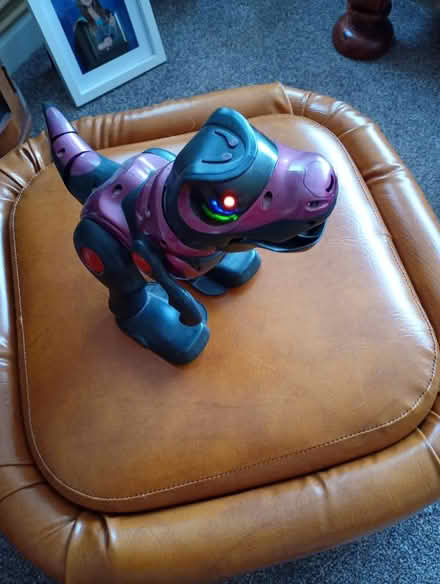 Photo of free Light up walking dinosaur (Kempston MK42) #1