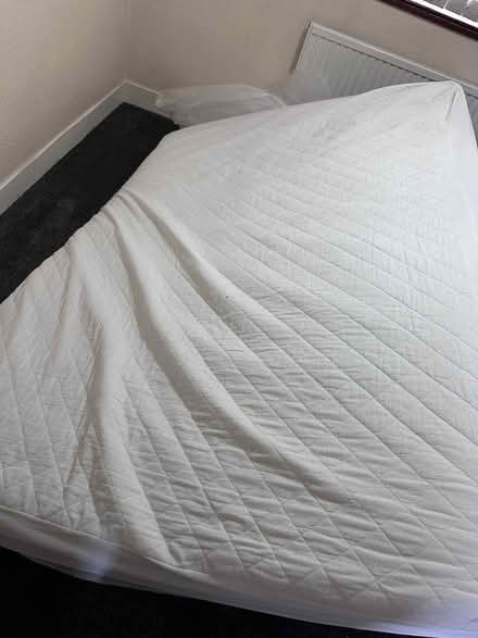 Photo of free Double mattress with protector (Sheffield S12) #1