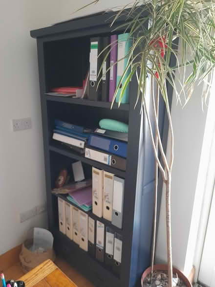 Photo of free Tall wooden shelves dark blue (Dun Laoghaire A96) #1