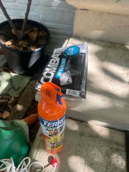 Photo of free Ant spray (Philadelphia/South Jersey) #1