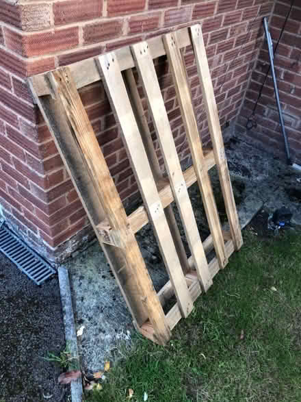 Photo of free Euro pallet (Hardwicke Green GL2) #1