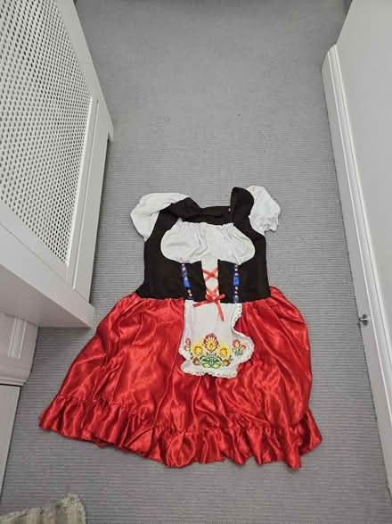 Photo of free Austrian fancy dress (NW9) #1
