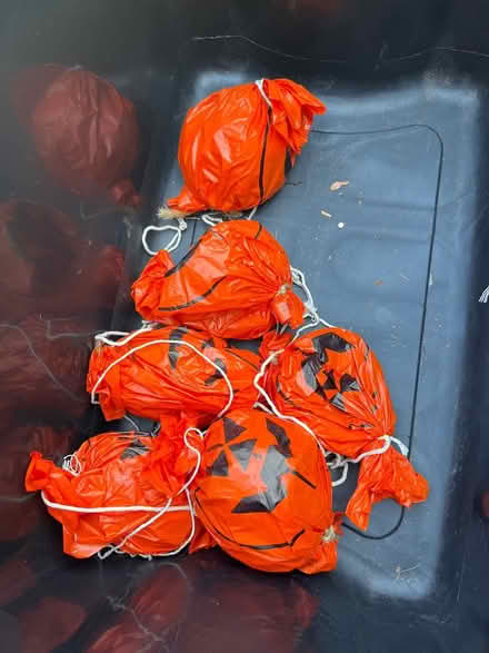 Photo of free 6 pumpkin stuffed hanging decor (Downers Grove) #1