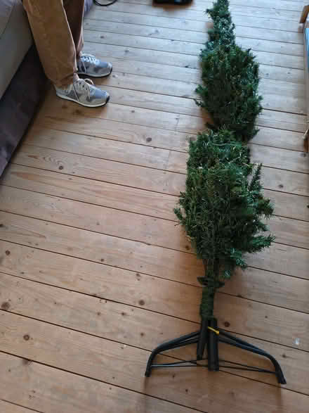 Photo of free 6 to 7ft Xmas tree (New Milton BH25) #2