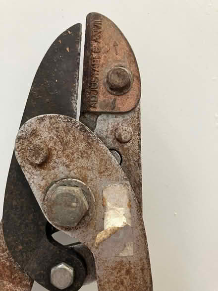 Photo of free Loppers (Kings Hill ME19) #2