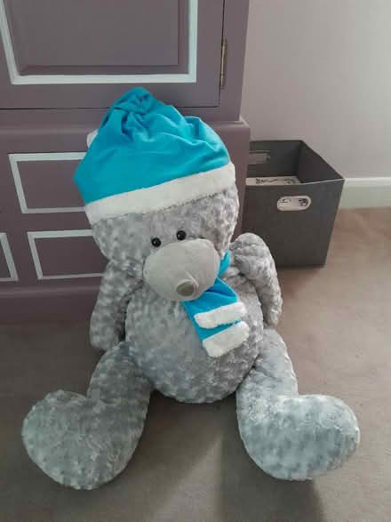 Photo of free Huge teddy (Horsham) #1