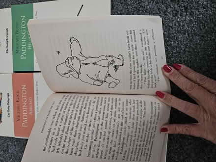 Photo of free Paddington books (Frindsbury Extra ME2) #2