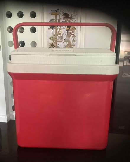 Photo of free Cool box for picnics and beach (Shepperton TW17) #1