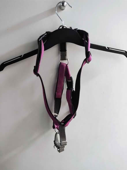 Photo of free Pet Safe 3 in 1 Dog Harness (Stratford) #1