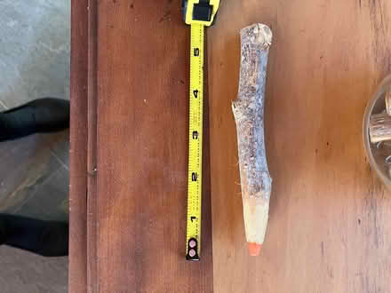 Photo of free twig colored pencils (White Oaks area of San Carlos) #2