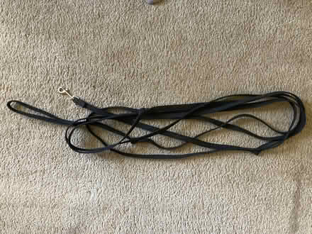 Photo of free Dog leash, 17.5 feet long (Alameda - East Side) #1