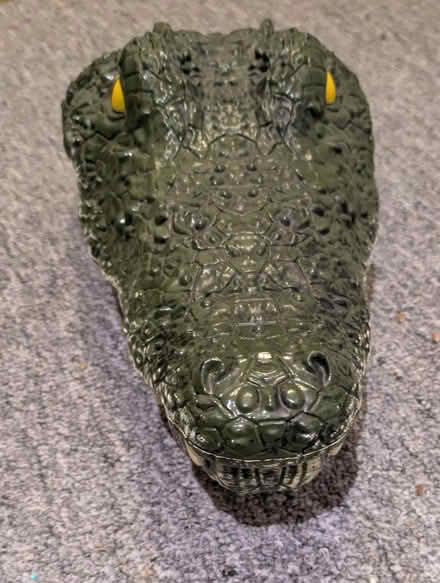 Photo of free Toy crocodile head (North Abingdon OX14) #2