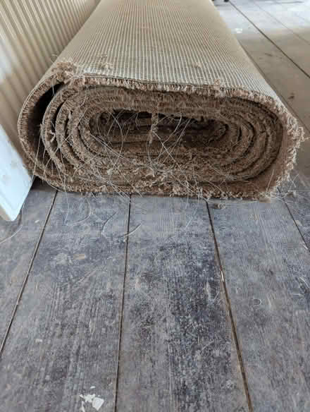 Photo of free Carpet (Gorleston NR31) #2