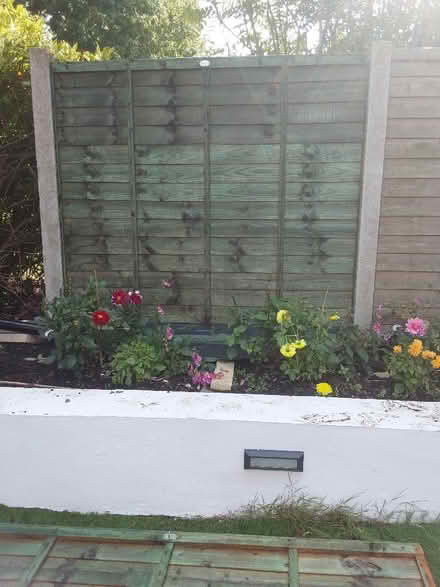 Photo of free Wooden fence panels (Mottingham SE9) #2