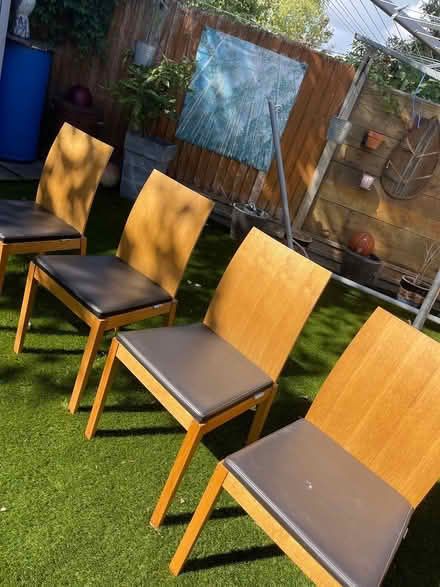 Photo of free 4 Habitat chairs (Isleworth TW7) #4