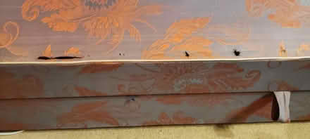 Photo of free Single bed base Ottoman/storage (The Folly BN7) #2